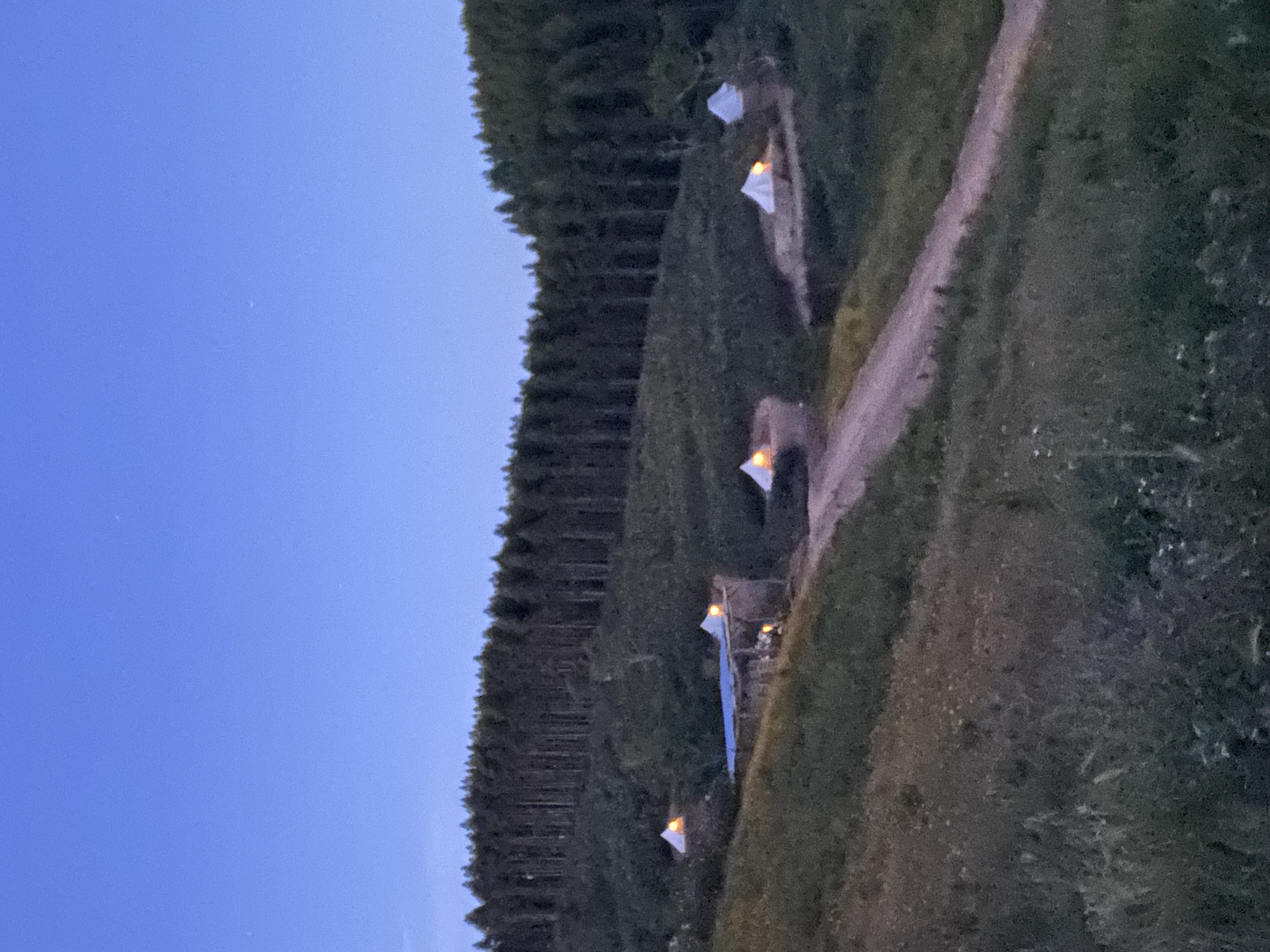 Multiple glamping tents lit up at dusk on the farm